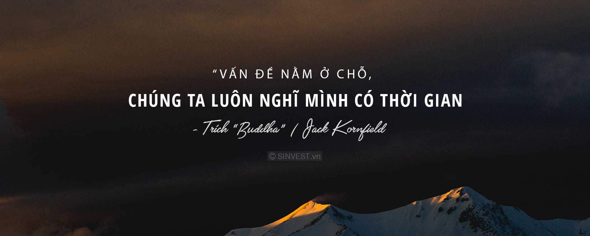 Ảnh bìa